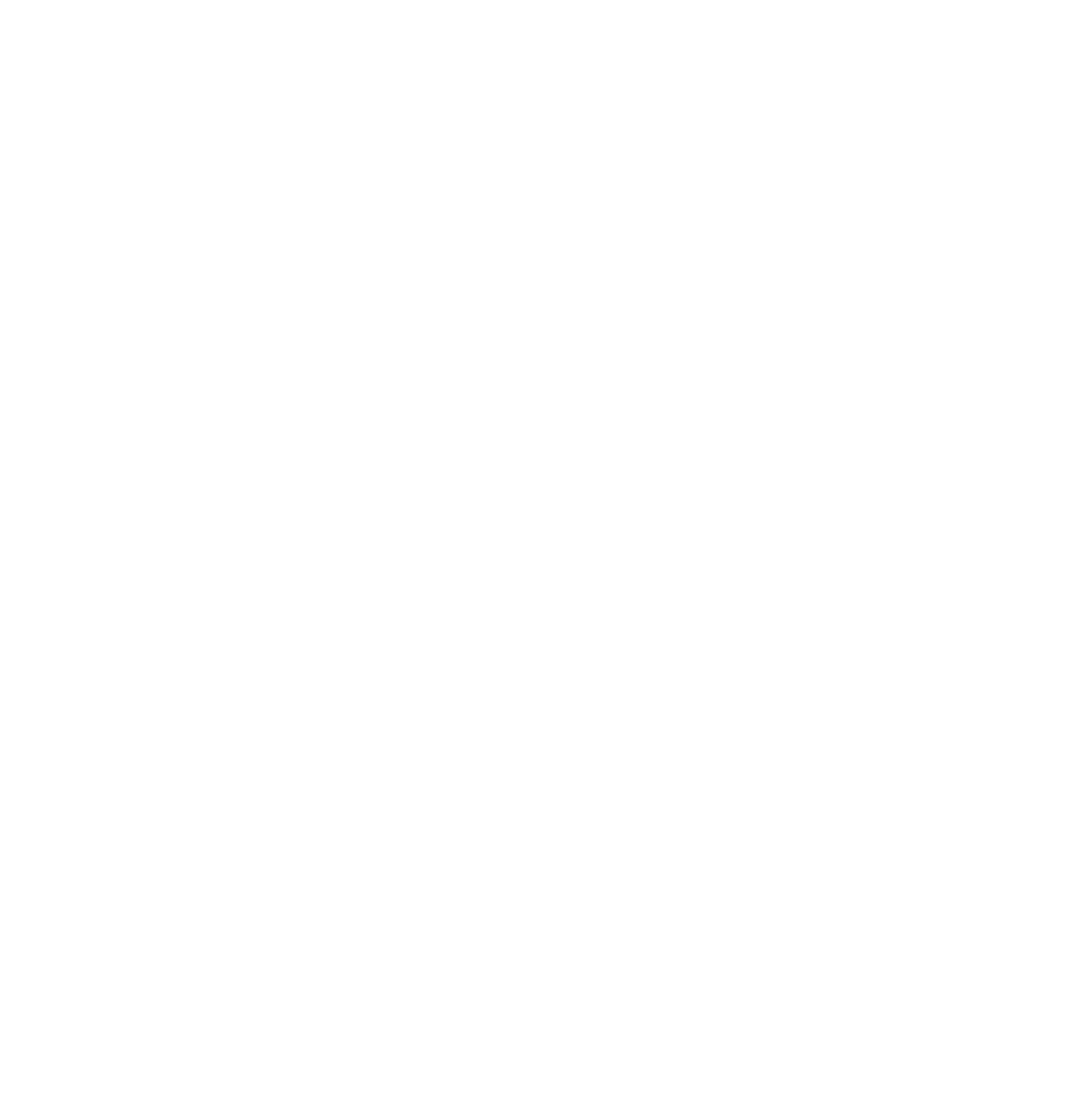 GRAZ — Zapatillas hechas a mano en Chile